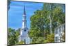 First Parish Church, Harrington House, Lexington Battle Green, Massachusetts.-William Perry-Mounted Photographic Print