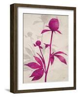 First Peony 1-Ivo Stoyanov-Framed Art Print