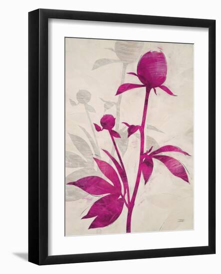 First Peony 1-Ivo Stoyanov-Framed Art Print