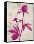 First Peony 1-Ivo Stoyanov-Framed Stretched Canvas