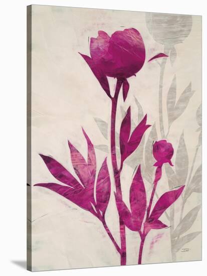 First Peony 2-Ivo Stoyanov-Stretched Canvas