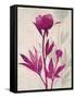 First Peony 2-Ivo Stoyanov-Framed Stretched Canvas