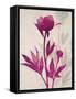 First Peony 2-Ivo Stoyanov-Framed Stretched Canvas