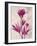 First Peony 2-Ivo Stoyanov-Framed Art Print