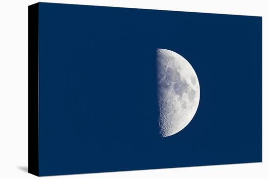 First Quarter Moon Taken Near Sunset with Sky Still Bright in Twilight-null-Stretched Canvas