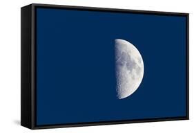 First Quarter Moon Taken Near Sunset with Sky Still Bright in Twilight-null-Framed Stretched Canvas