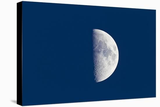 First Quarter Moon Taken Near Sunset with Sky Still Bright in Twilight-null-Stretched Canvas