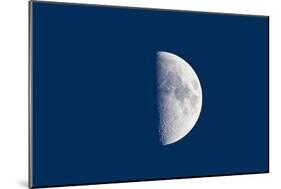 First Quarter Moon Taken Near Sunset with Sky Still Bright in Twilight-null-Mounted Photographic Print