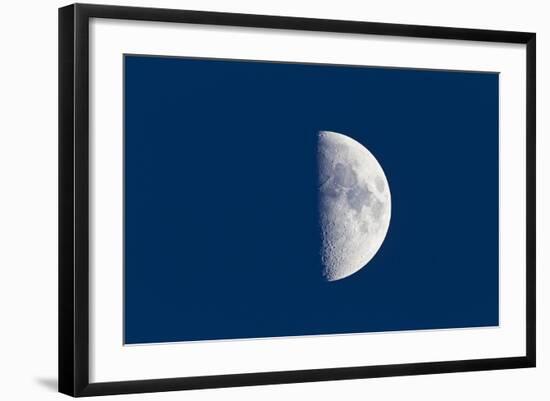 First Quarter Moon Taken Near Sunset with Sky Still Bright in Twilight-null-Framed Photographic Print