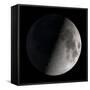 First Quarter Moon-Stocktrek Images-Framed Stretched Canvas