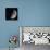 First Quarter Moon-Stocktrek Images-Photographic Print displayed on a wall