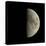 First Quarter Moon-Eckhard Slawik-Stretched Canvas