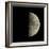 First Quarter Moon-Eckhard Slawik-Framed Premium Photographic Print