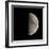 First Quarter Moon-Eckhard Slawik-Framed Premium Photographic Print