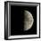 First Quarter Moon-Eckhard Slawik-Framed Premium Photographic Print