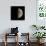 First Quarter Moon-Eckhard Slawik-Photographic Print displayed on a wall