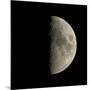 First Quarter Moon-Eckhard Slawik-Mounted Photographic Print