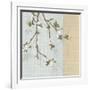 First Sign of Spring II-Tandi Venter-Framed Art Print