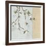 First Sign of Spring II-Tandi Venter-Framed Art Print