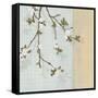 First Sign of Spring II-Tandi Venter-Framed Stretched Canvas