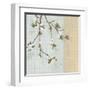 First Sign of Spring II-Tandi Venter-Framed Art Print