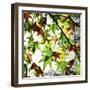 First Signs of Autumn-Incredi-Framed Photographic Print