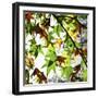 First Signs of Autumn-Incredi-Framed Photographic Print