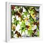 First Signs of Autumn-Incredi-Framed Photographic Print