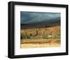 First Snow Storm Of The Season-null-Framed Art Print
