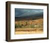 First Snow Storm Of The Season-null-Framed Art Print