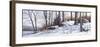 First Snow-Ray Hendershot-Framed Art Print