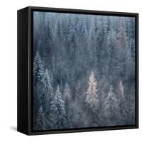 First Snow-Ursula Abresch-Framed Stretched Canvas