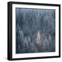 First Snow-Ursula Abresch-Framed Premium Photographic Print