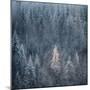 First Snow-Ursula Abresch-Mounted Premium Photographic Print