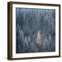 First Snow-Ursula Abresch-Framed Photographic Print