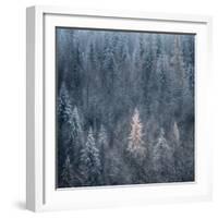 First Snow-Ursula Abresch-Framed Photographic Print