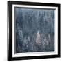 First Snow-Ursula Abresch-Framed Photographic Print