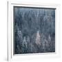 First Snow-Ursula Abresch-Framed Photographic Print