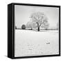 First Snow-Craig Roberts-Framed Stretched Canvas