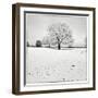 First Snow-Craig Roberts-Framed Photographic Print