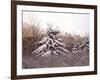 First Snow-David Knowlton-Framed Giclee Print