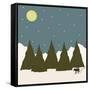 First Snowfall-Tammy Kushnir-Framed Stretched Canvas