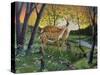 First Spring-Don Engler-Stretched Canvas