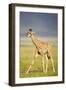 First Steps-Susann Parker-Framed Photographic Print