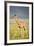 First Steps-Susann Parker-Framed Photographic Print