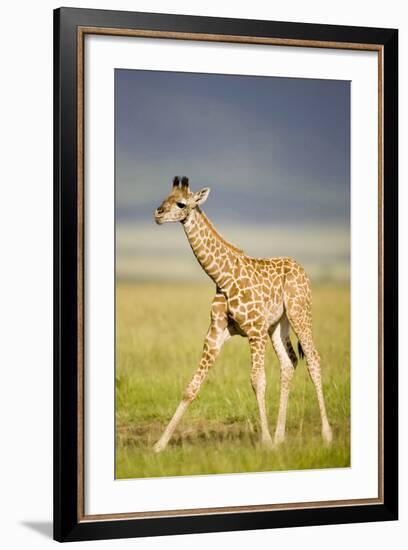 First Steps-Susann Parker-Framed Photographic Print