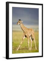 First Steps-Susann Parker-Framed Photographic Print