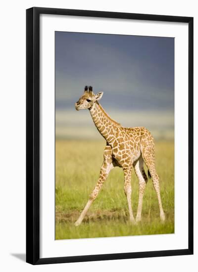 First Steps-Susann Parker-Framed Photographic Print