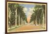 First Street, Ft. Myers, Florida-null-Framed Art Print