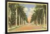 First Street, Ft. Myers, Florida-null-Framed Art Print